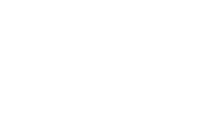 Ace Hardware